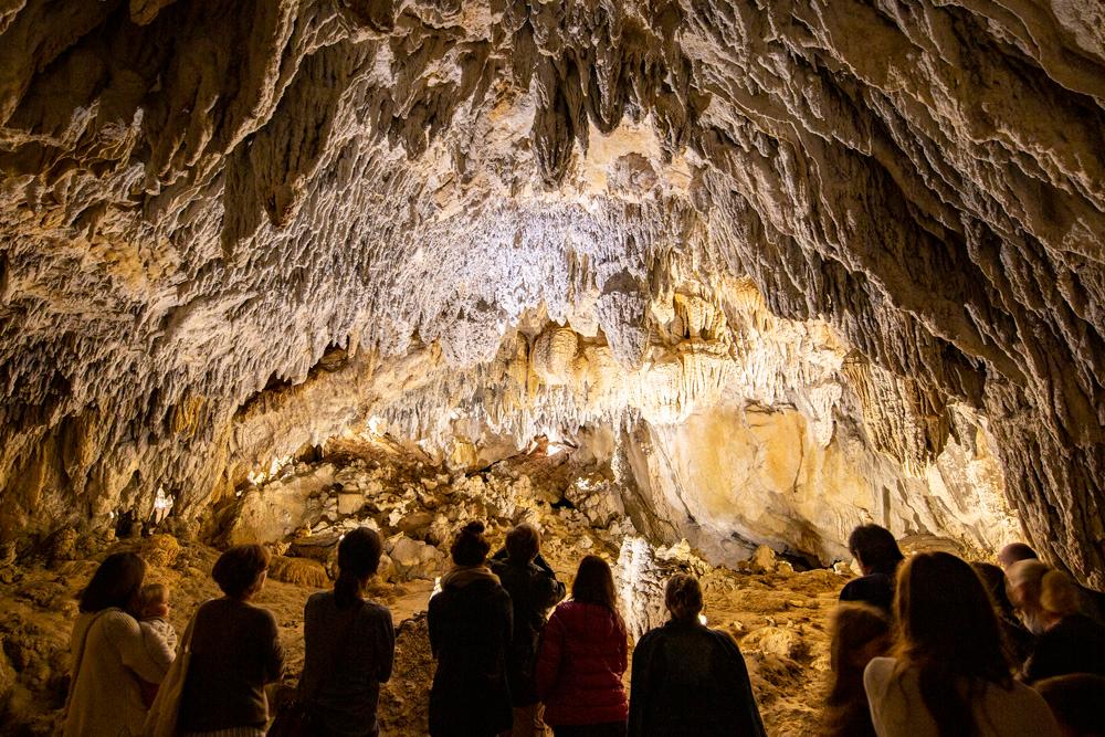 grupo de personas dentro de las cuevas de Urdax